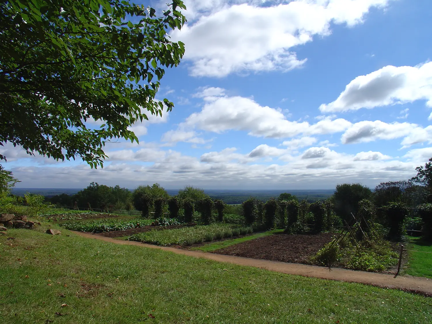 A vegetable garden.