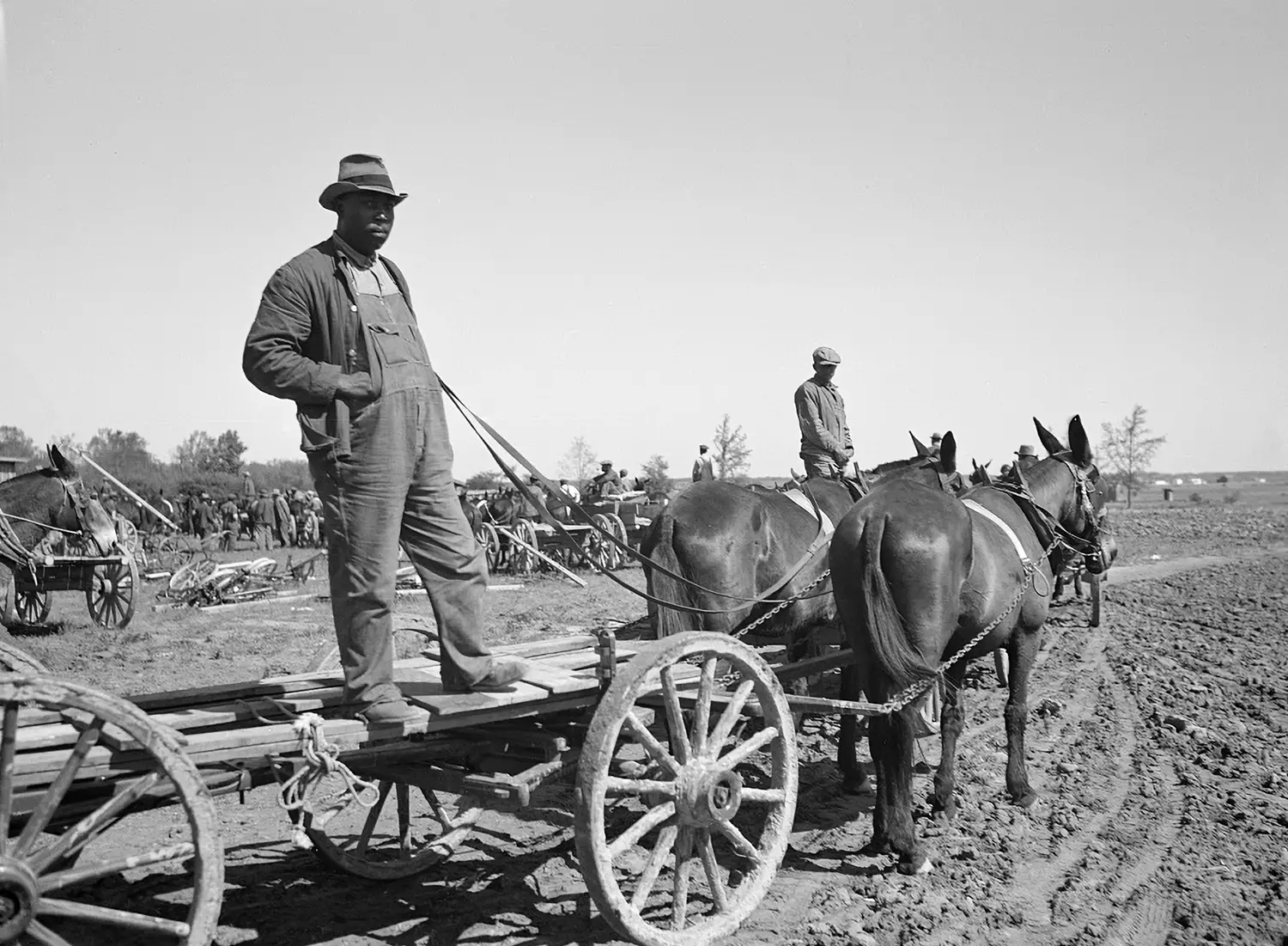 A black farmer standing on a horse-drawn wagon. A black farmer standing on a horse-drawn wagon.